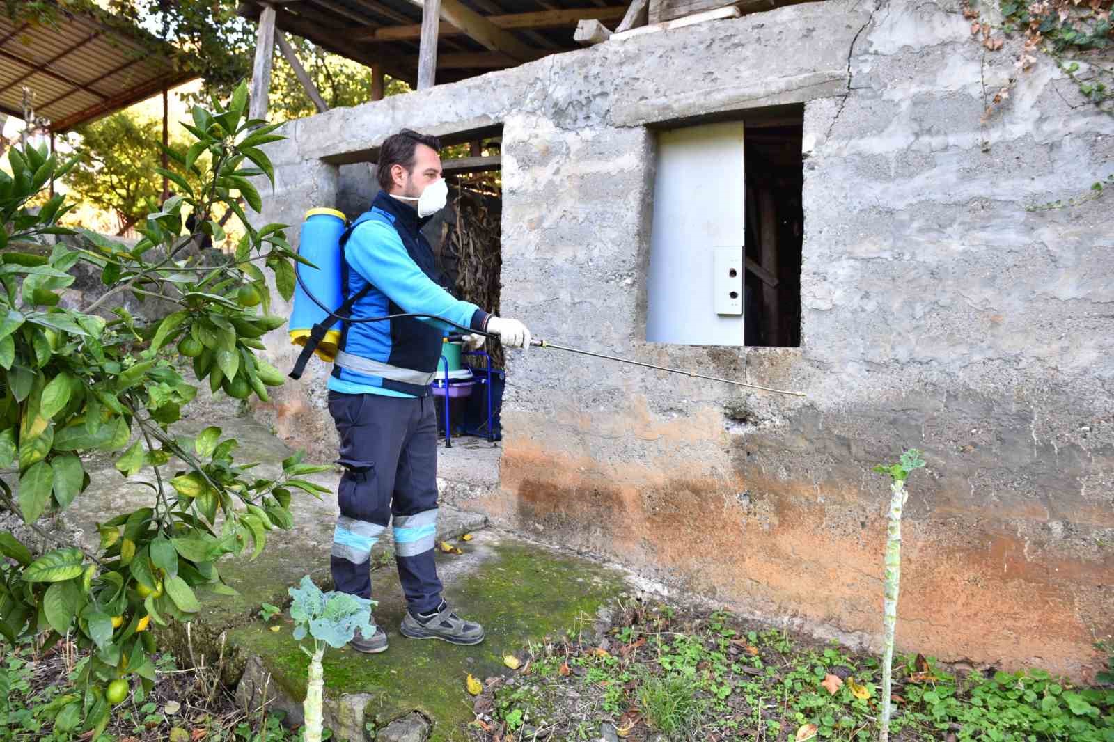 Trabzon’da kokarcaya geçit yok: “2 bin 60 noktada, 108 bin 800 metrekare alanda ilaçlama”
