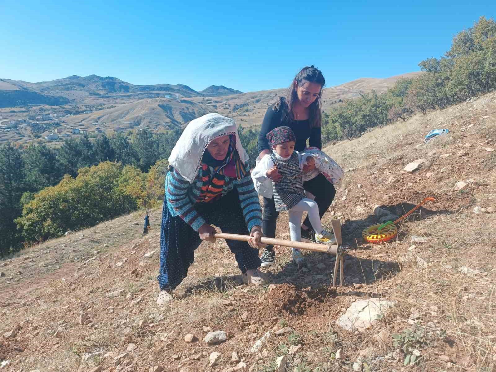 Tunceli’de bin meşe palamudu toprakla buluşturuldu
