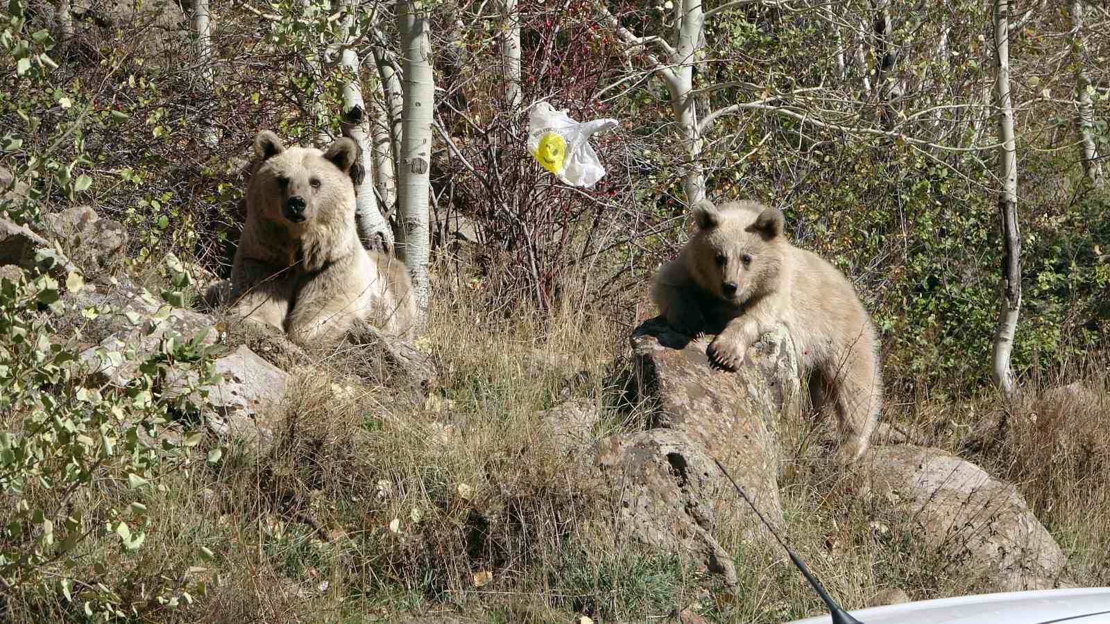 Nemrut Kalderası kış sezonu boyunca ziyarete kapatıldı
