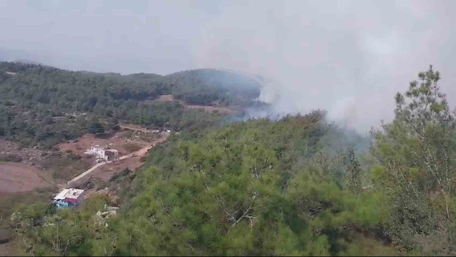 Hatay’da orman yangını
