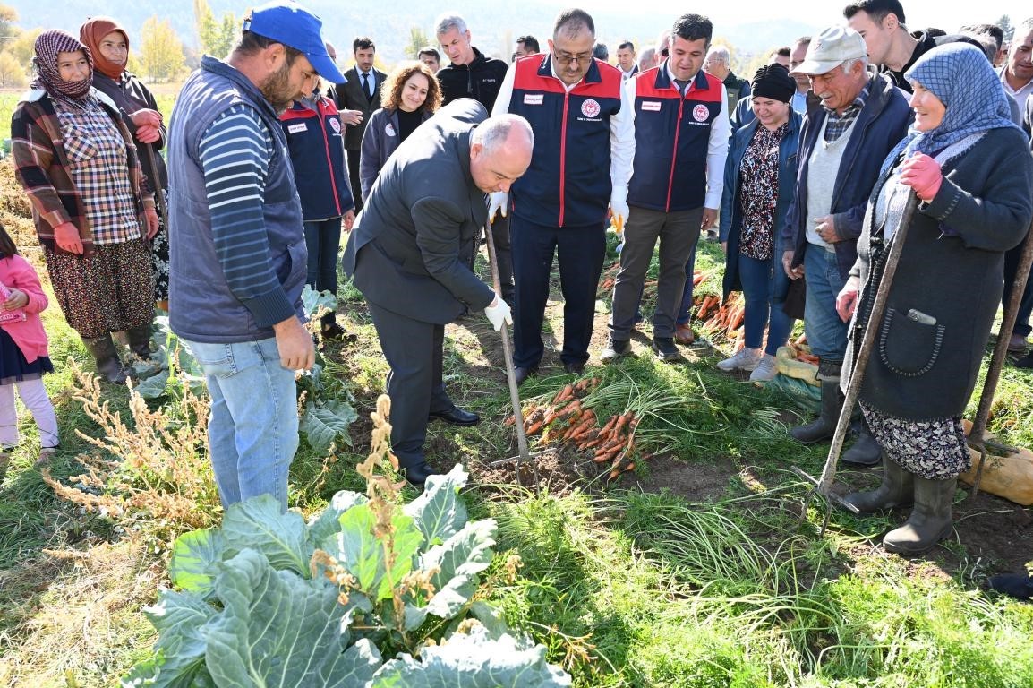 Lezzetiyle meşhur Çakır havucunda hasat başladı
