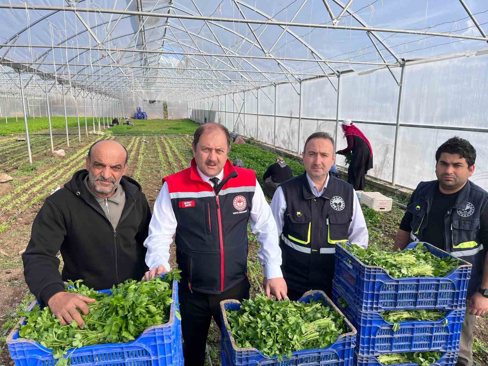 Erzincan’da kışlık sebze hasadı başladı
?v=1