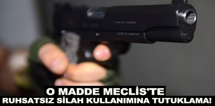 O madde Meclis'te: Ruhsatsız silah kullanımına tutuklama!?v=1