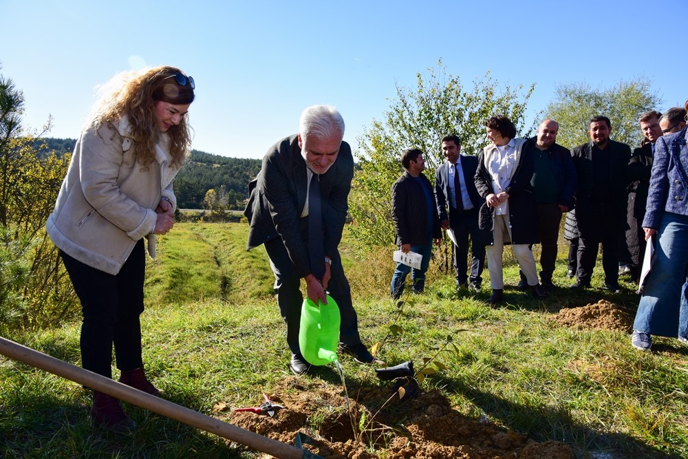 Kastamonu Üniversitesi’nde 100 fidan dikildi
?v=1