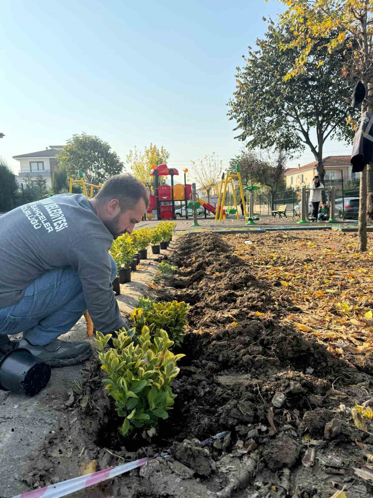 Serdivan’ın yeşil alanları güzelleşiyor
?v=1