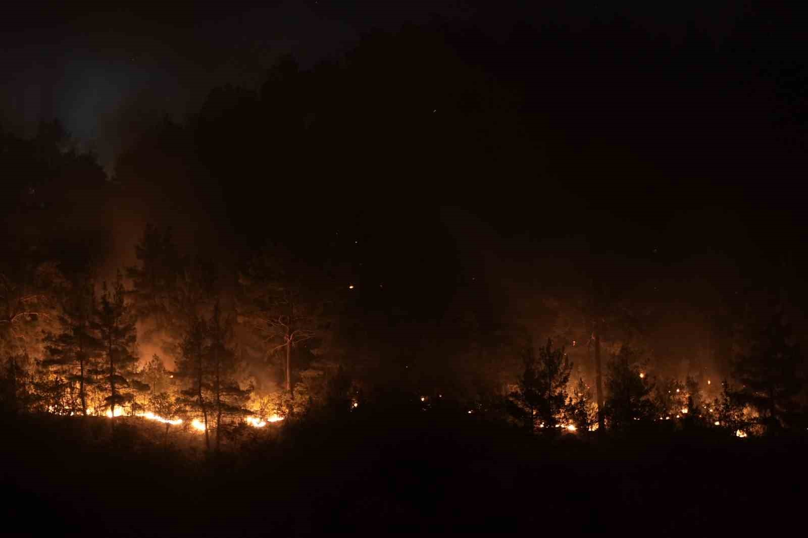 Bursa-Balıkesir il sınırındaki orman yangınına 8. saatinde müdahale devam ediyor
