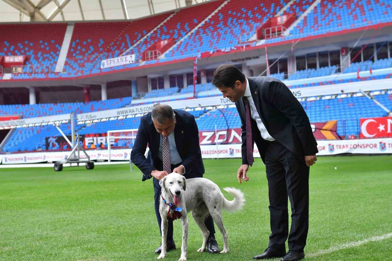 ‘Zibidi’ Trabzonspor’a transfer oldu, ismi ’Fırtına’ olarak değişti
