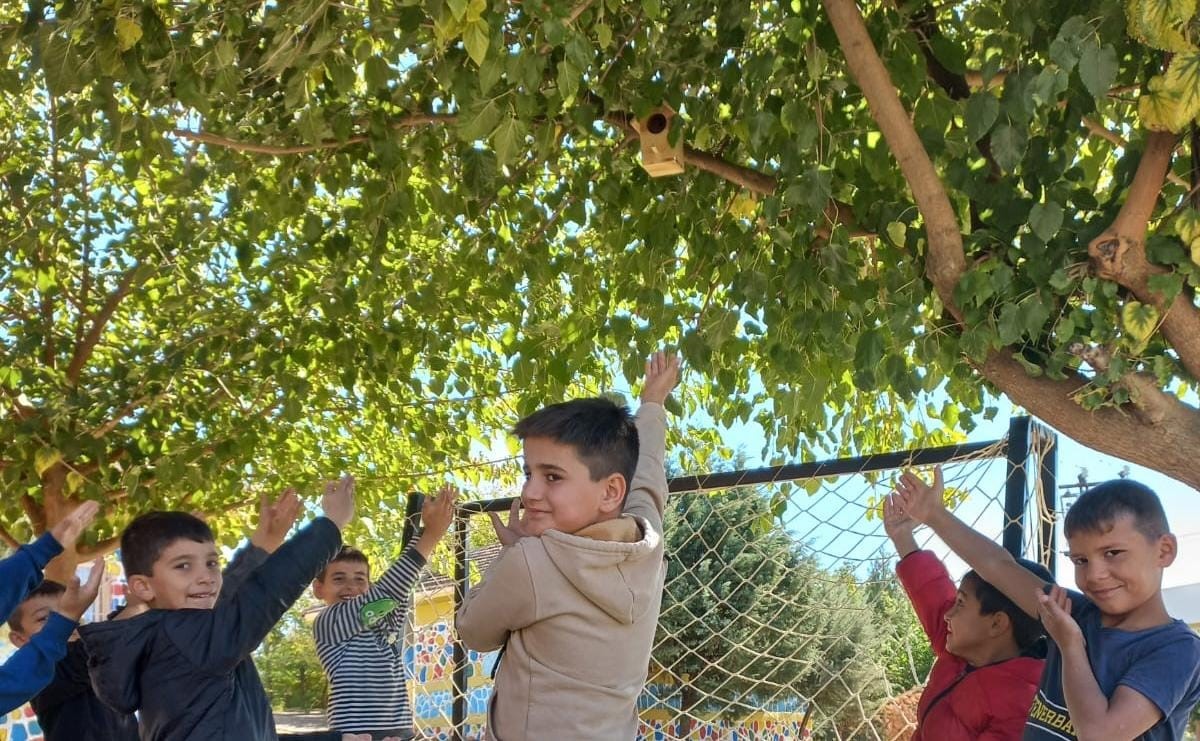 Silvan’da kuş yuvaları ile ekosisteme katkı
?v=1