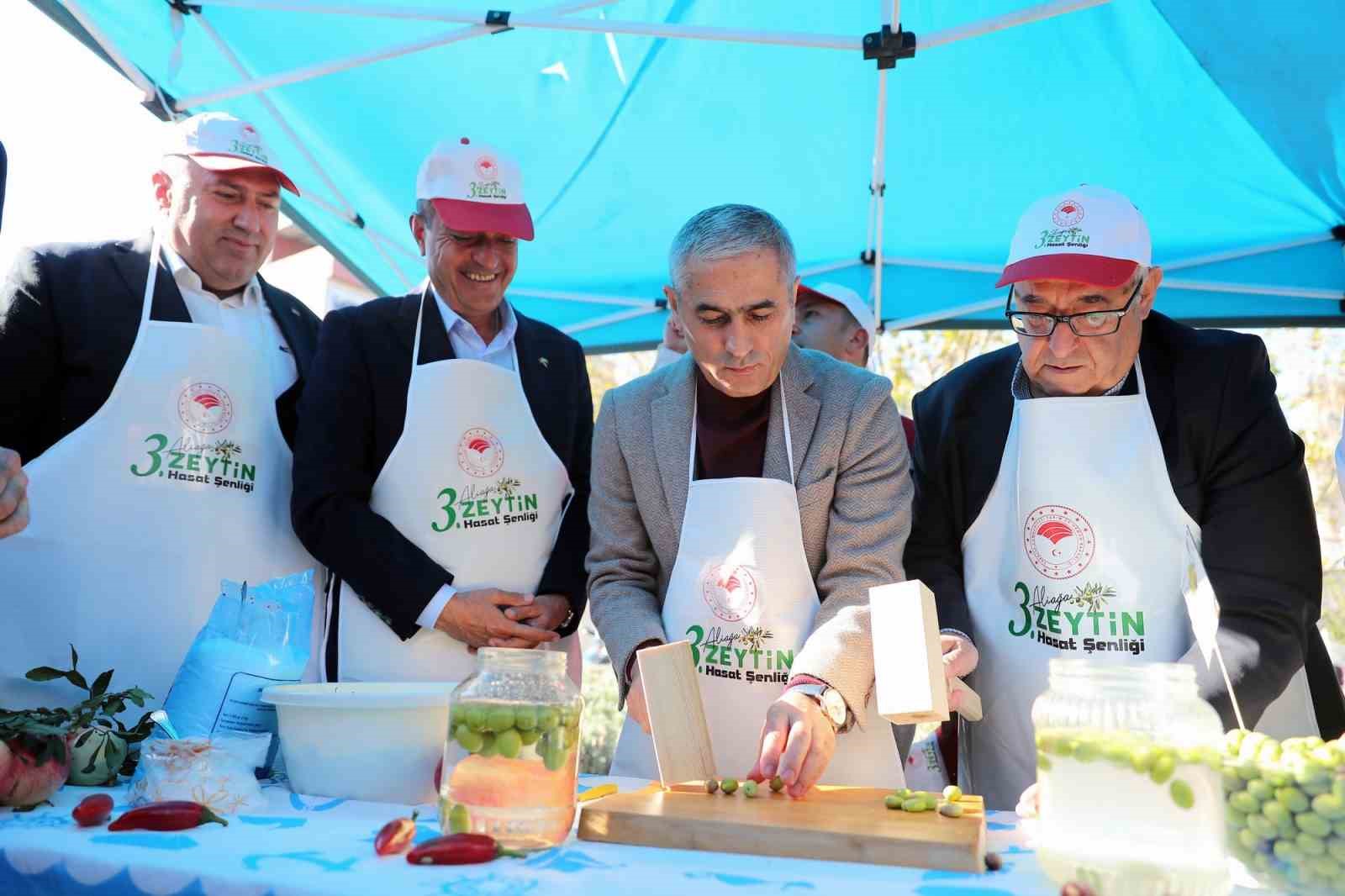 Aliağa’da  3. Zeytin Hasat Şenliği  düzenlendi
