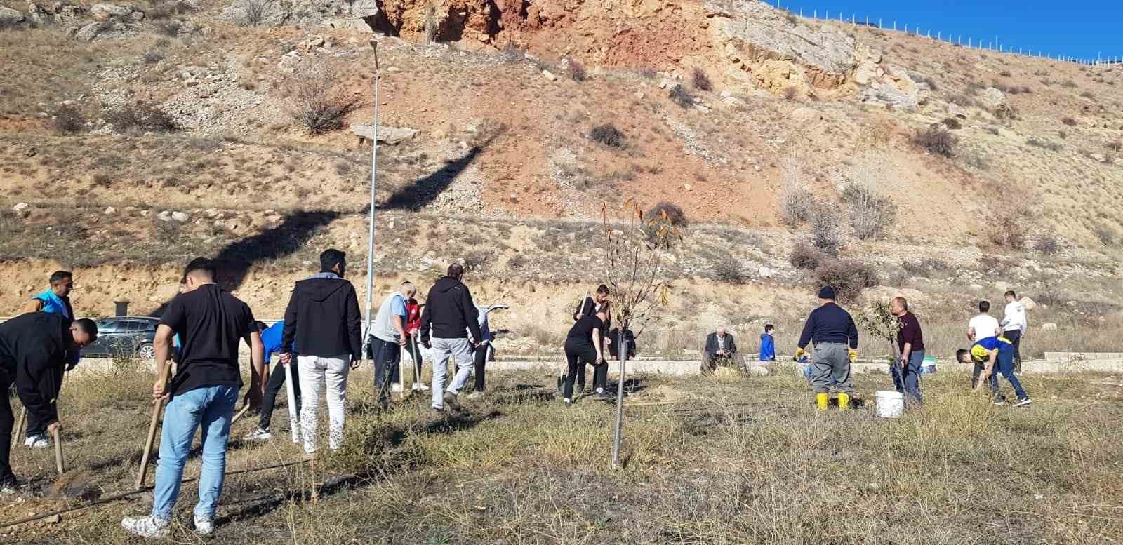 Bayburt’ta fidanlar toprakla buluştu
