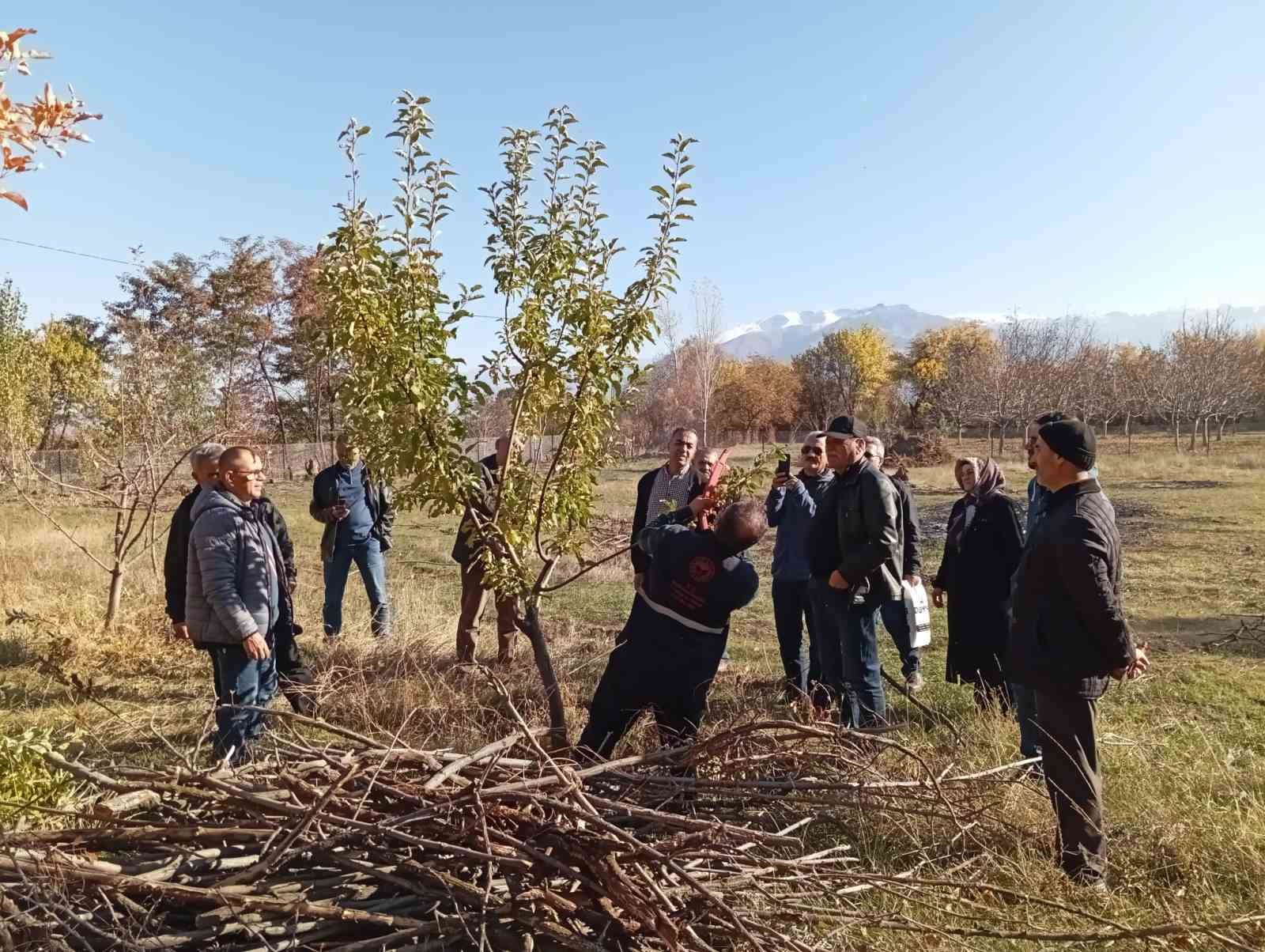 Erzincan’da teorik ve pratik budama eğitimleri başlatıldı
?v=1