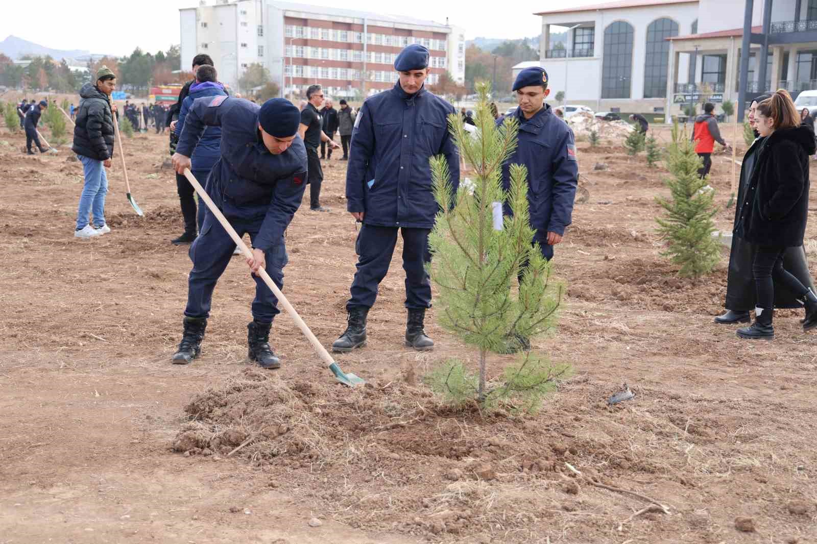 Sivas’ın ormanlık alanı 504 bin dekara yükseldi
?v=1