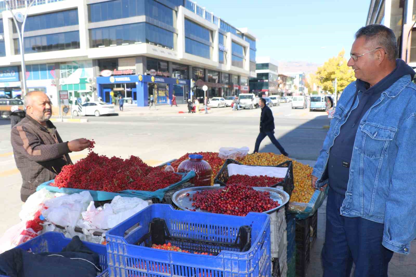 ’Seyyar doktor’ dağ bitkileriyle şifa dağıtıyor
?v=1