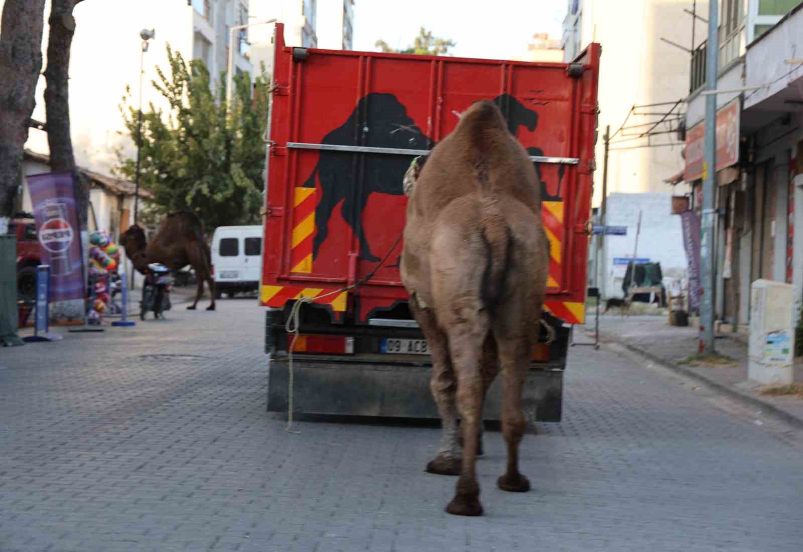 Küresel ısınma develerin de dengesini bozdu
?v=1