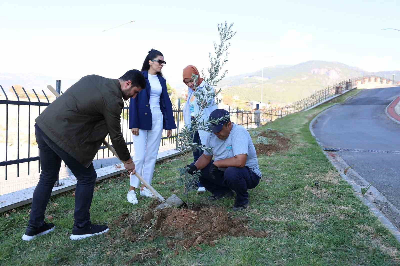 ALKÜ’de zeytin ağacı dikimi yapıldı
