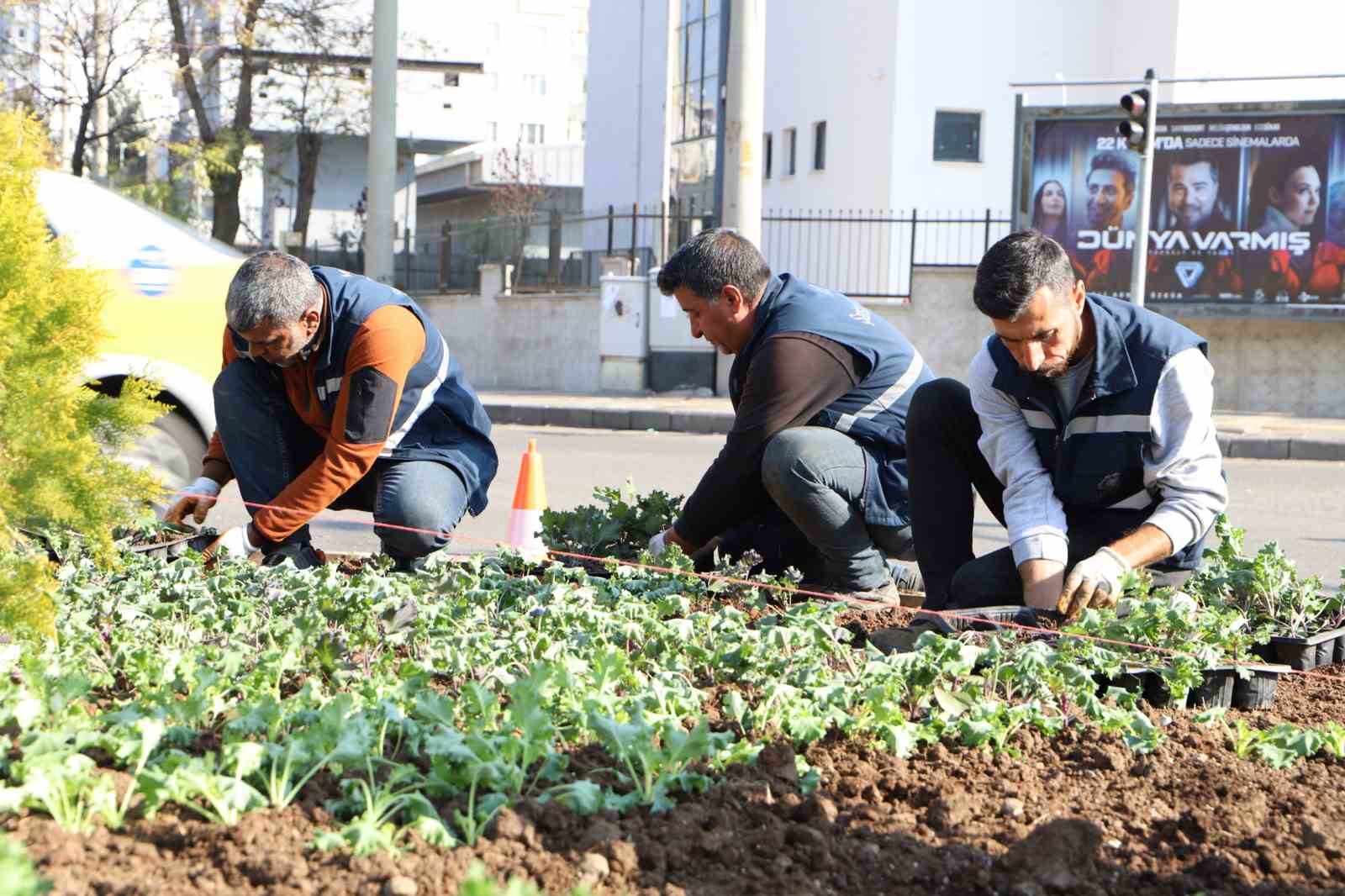 Diyarbakır 1 milyon çiçekle renkleniyor
?v=1