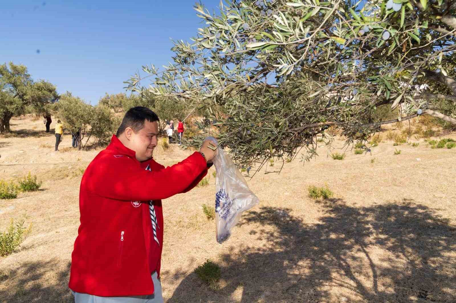 Engelli bireyler zeytin hasadı sayesinde sosyalleşti
