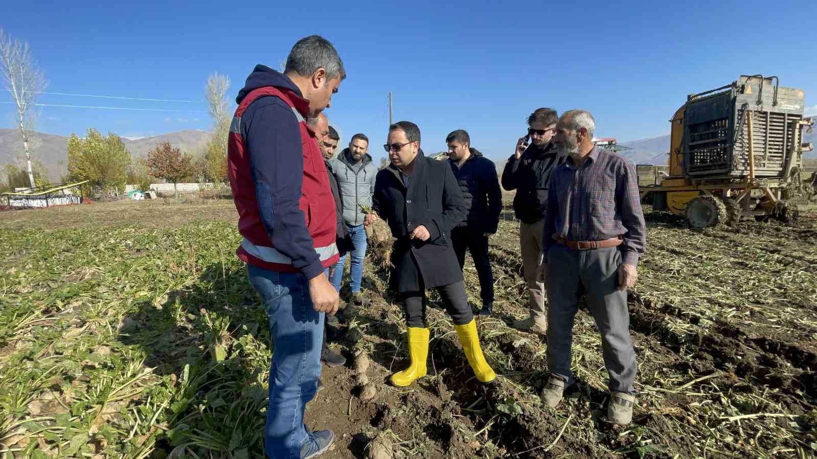 Muradiye’de şeker pancarı hasadı başladı
?v=1