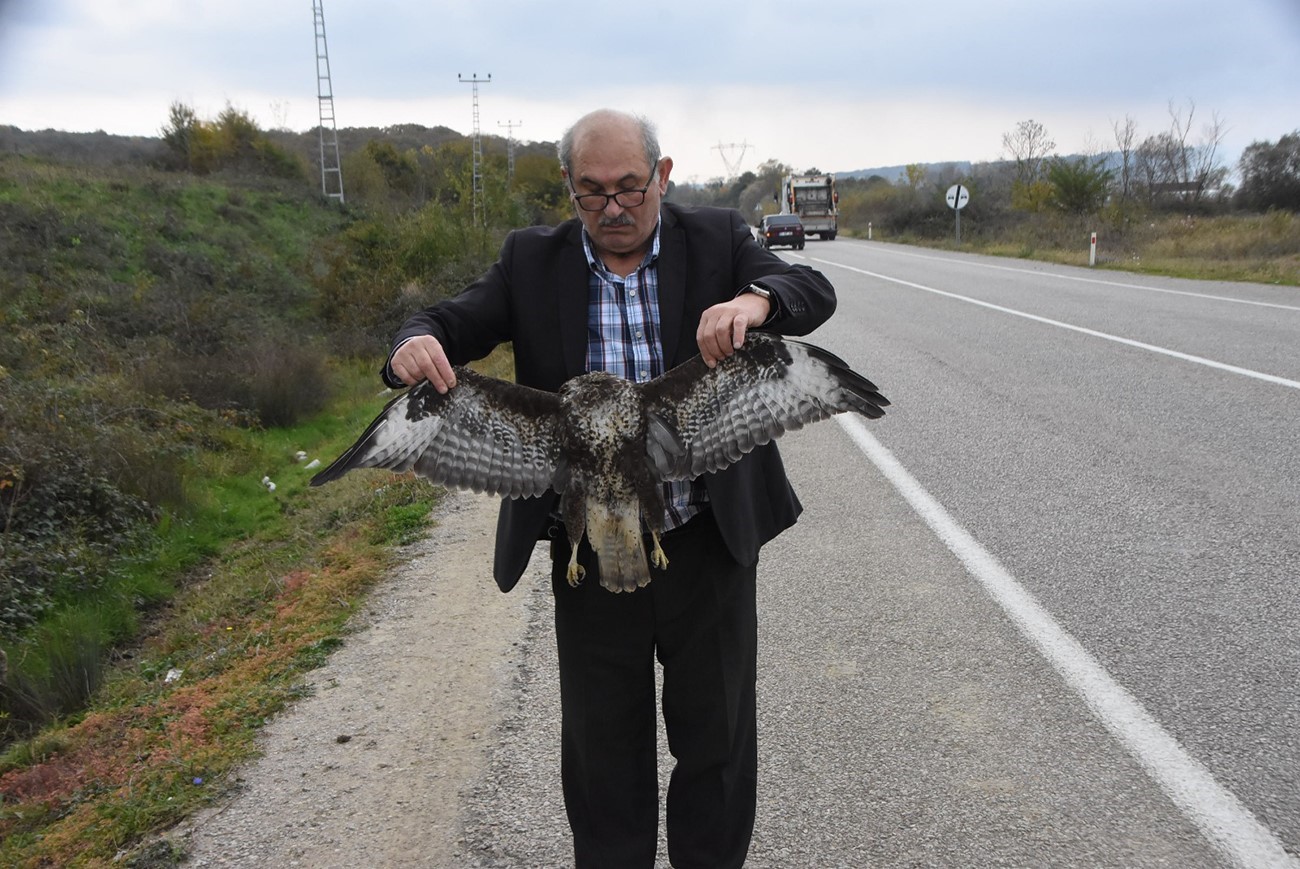 Sinop’ta otomobile çarpan atmaca telef oldu
?v=1