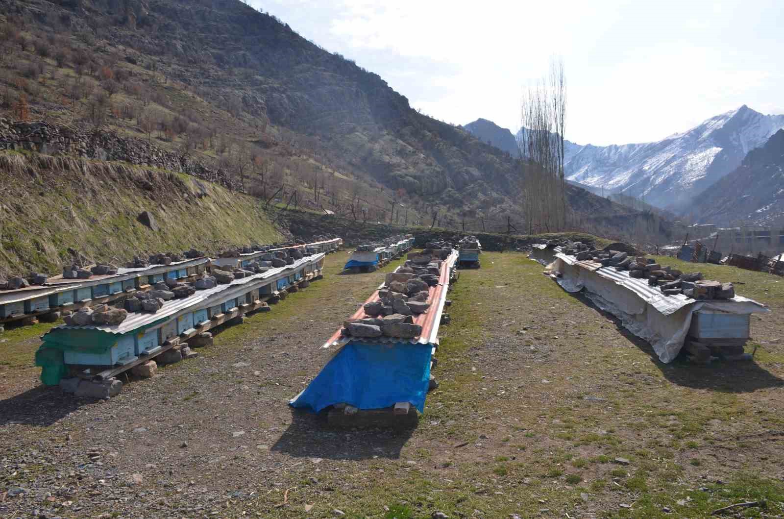 Erzincan’da arıların  tatlı uykusu  başladı
