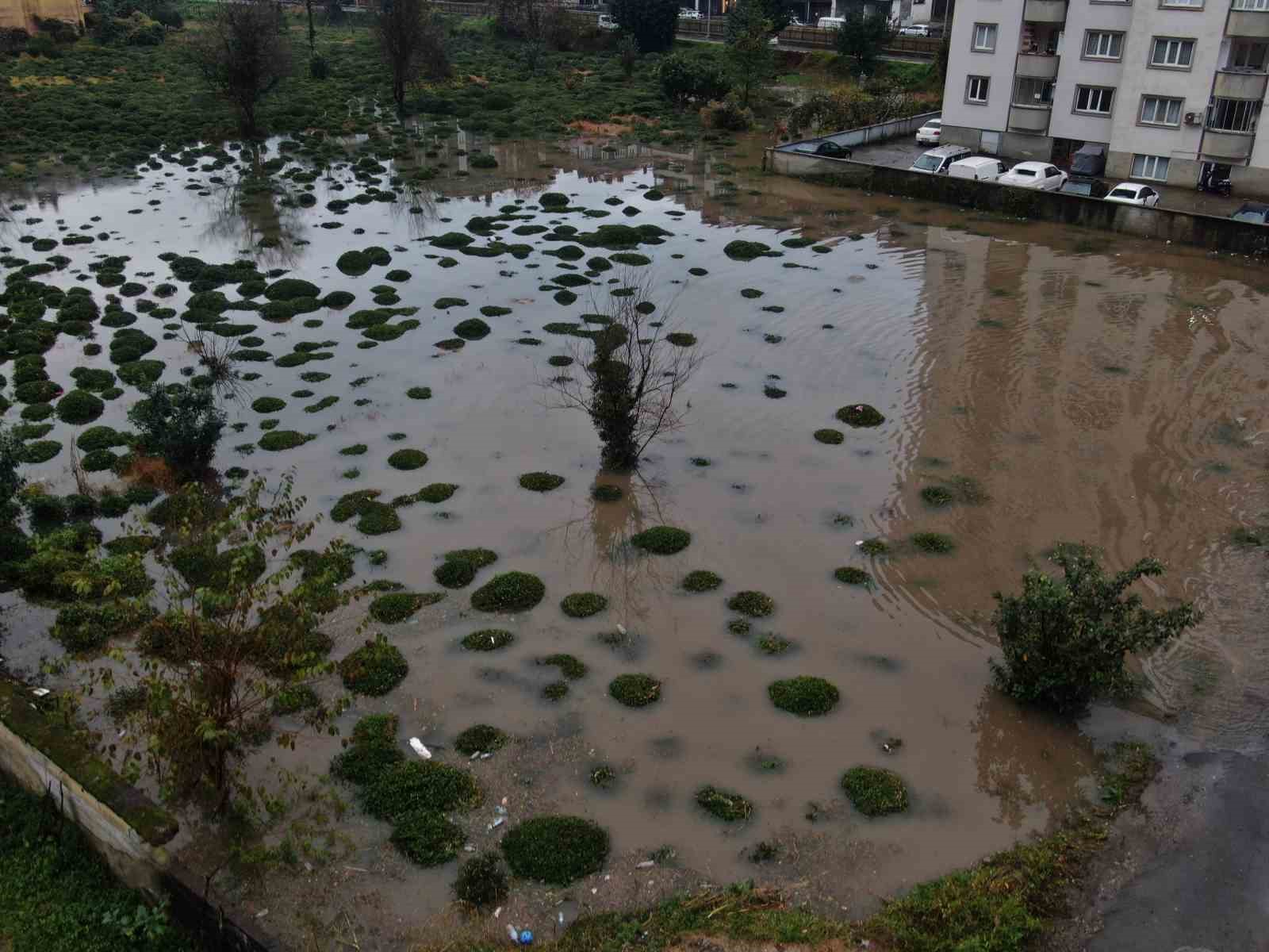 Rize’deki şiddetli yağıştan tarım arazileri de nasibini aldı
