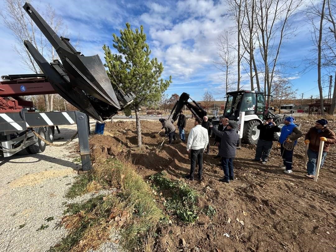 Çorum’un gözde mekanlarından olan Veli Çayırı’ndaki otopark yeşille buluşturuluyor
