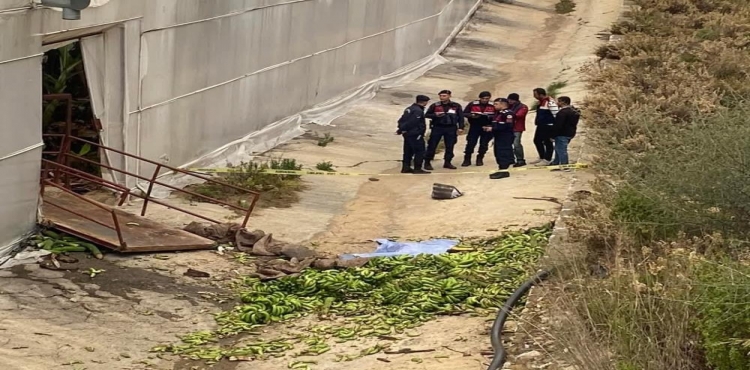 Alanya’da seradaki iş kazasıyla ilgili 2 kişi tutuklandı