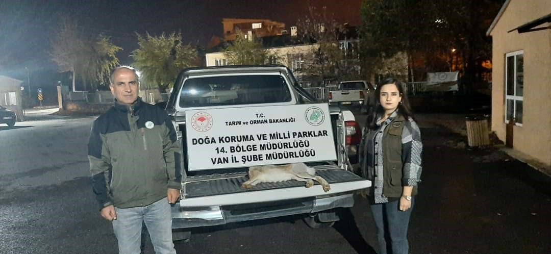 Van’da yasadışı avlanan şahsa 11 bin lira caza
?v=1