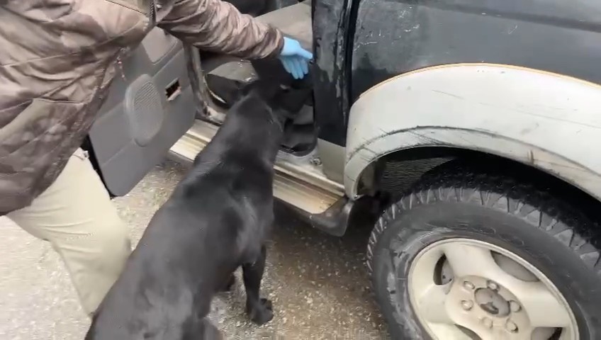 Narkotik dedektör köpeği Tony, araçtaki zulada eroin ve metamfetamin buldu
