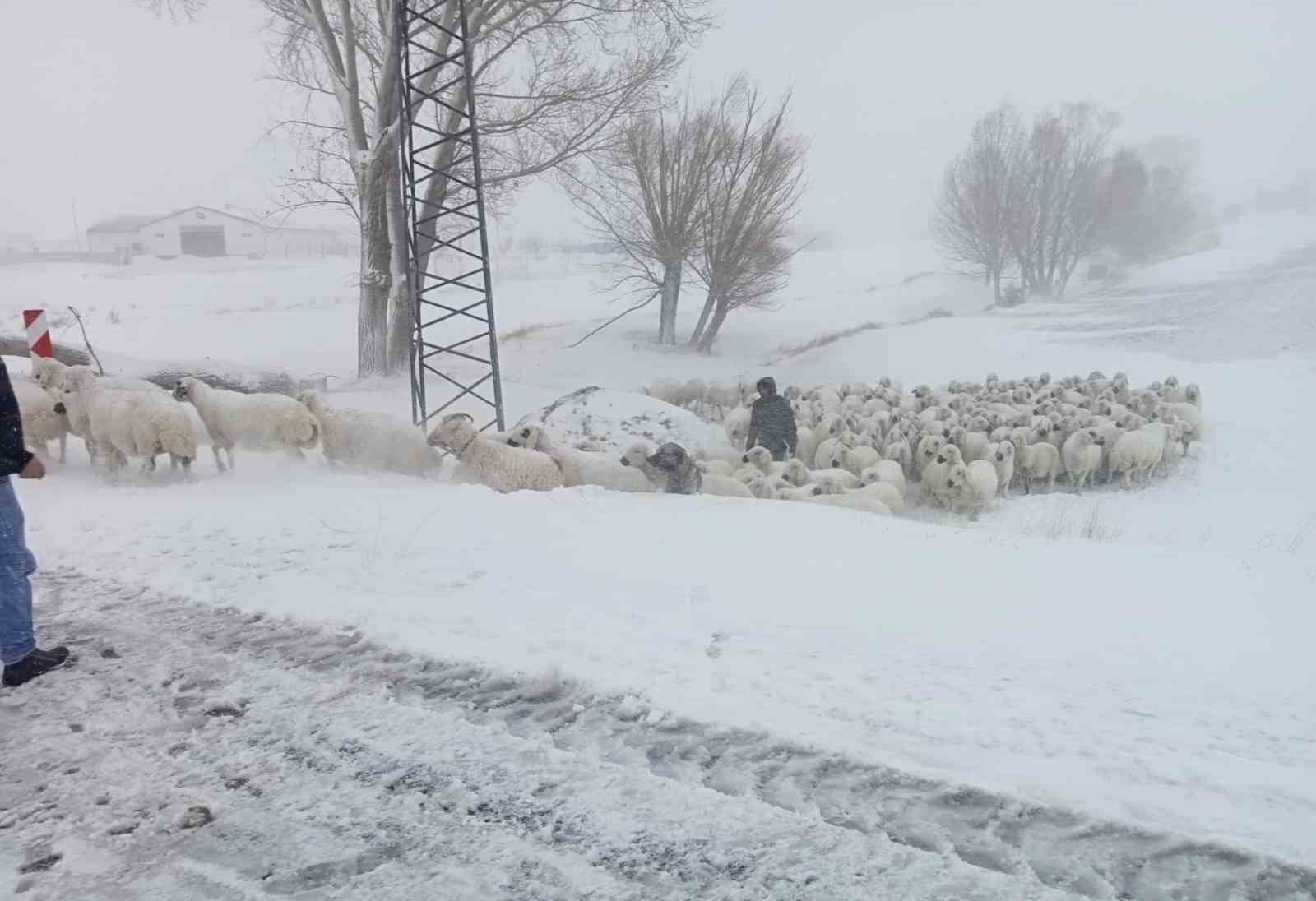 Sivas’ta sürüsü ile mahsur kalan çobanı Özel İdare ekipleri kurtardı
