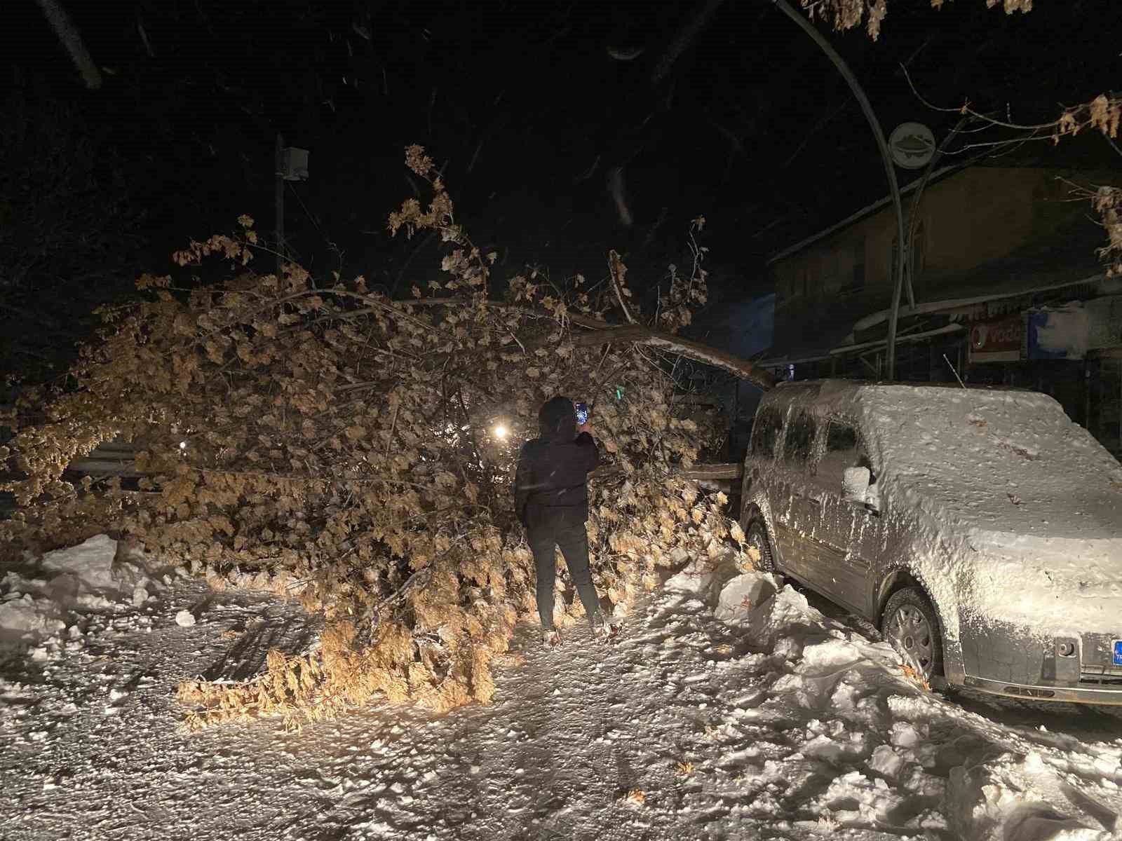 Tunceli’de fırtına, ağaçları devirdi
