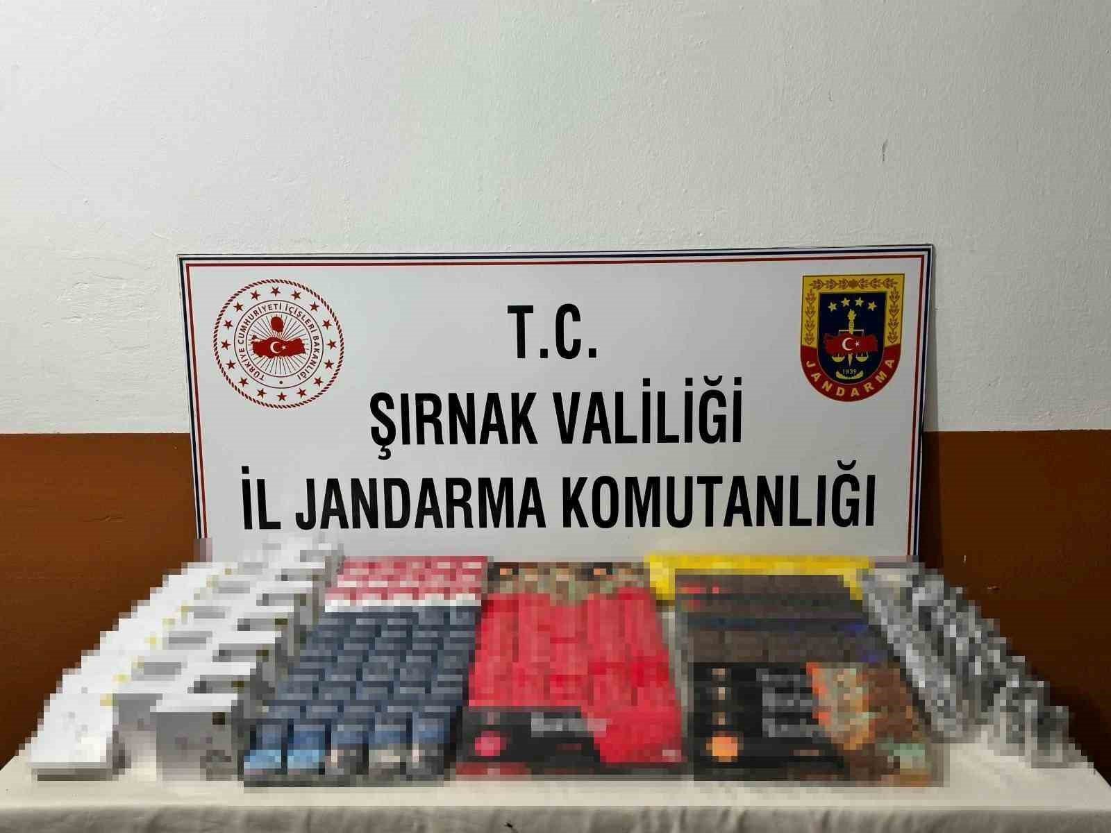 Şırnak’ta 11 şüpheliye işlem yapıldı
?v=1