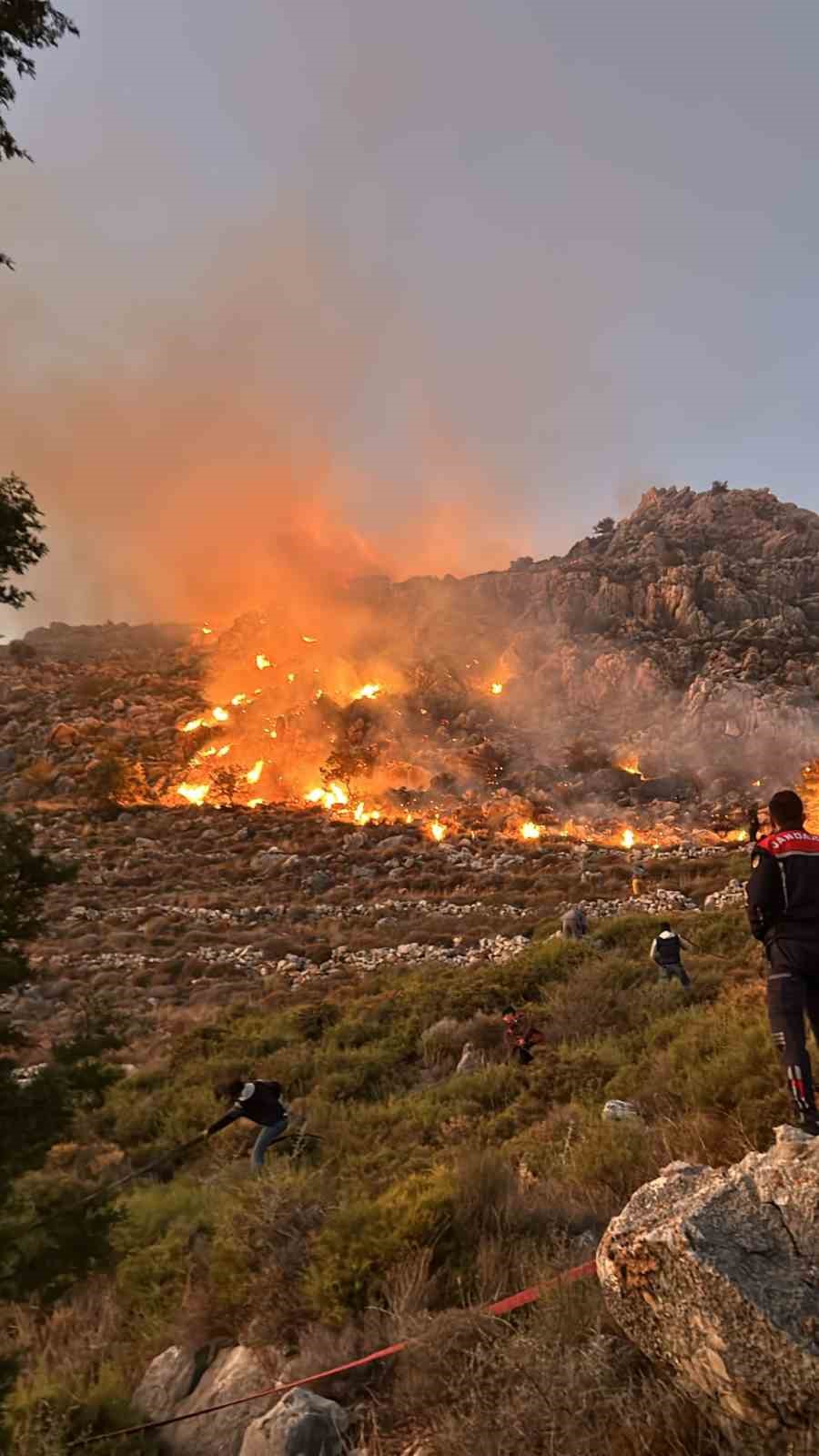 Marmaris’teki makilik yangını kontrol altına alındı
?v=1