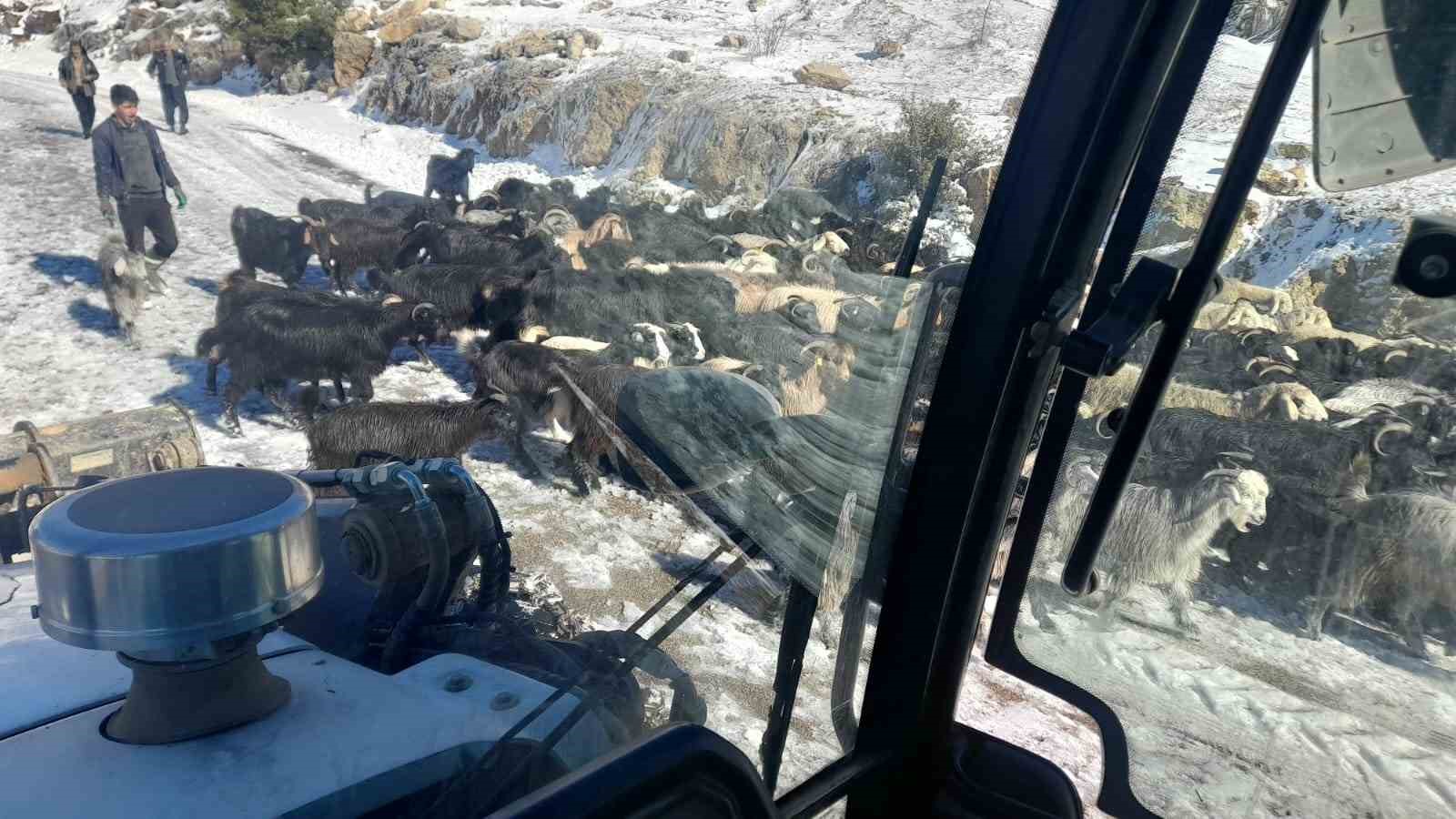 Adana’da karda mahsur kalan yayla sakinleri ve çobanlar kurtarıldı
?v=1