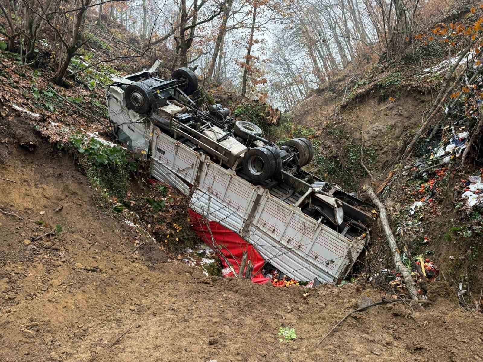 Ormana yuvarlanan kamyona 4 gün sonra ulaşıldı
