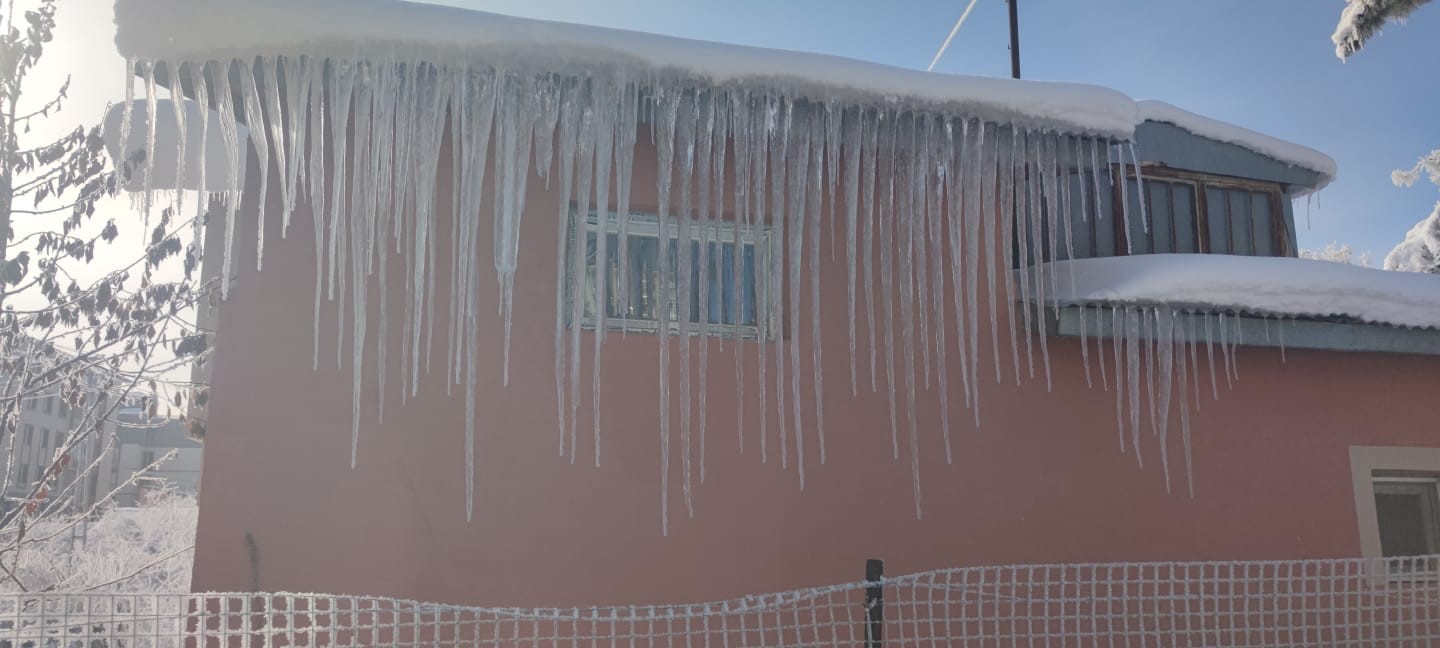 Aşkale’de soğuk hava etkili oluyor
?v=1