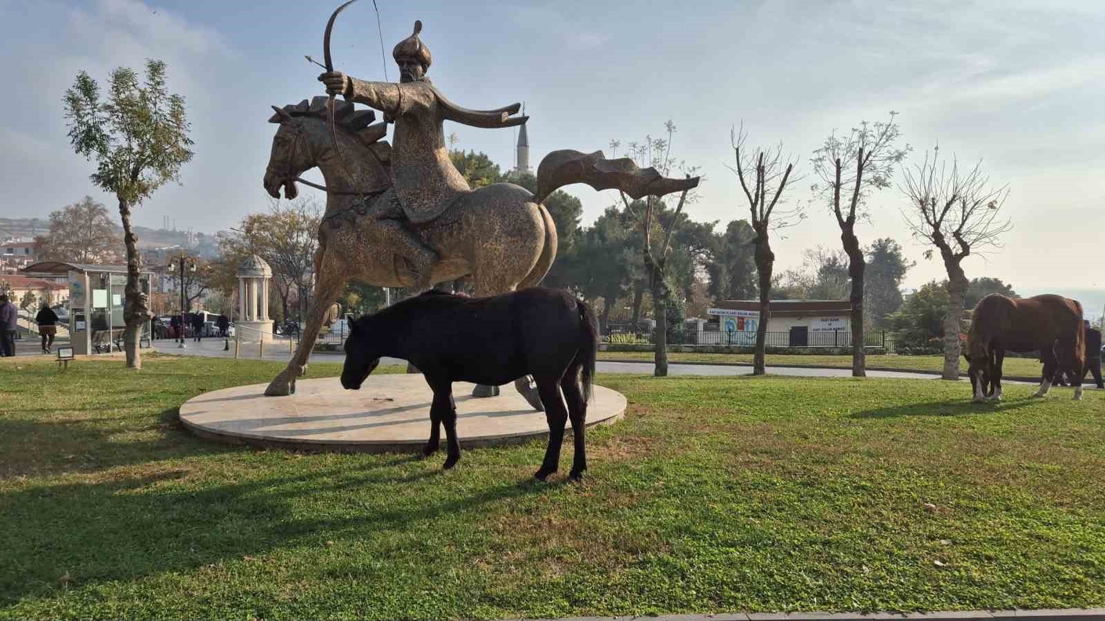 Tekirdağ’da atlı heykeli mesken tutan başıboş atlar ilgi odağı oldu
?v=1