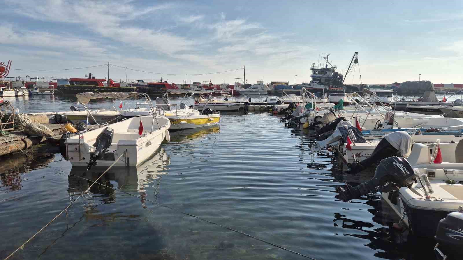 Marmara Denizi’nde müsilaj yeniden ortaya çıktı
?v=1