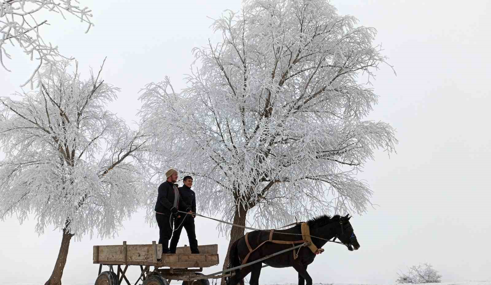 Erzincan’ın Otlukbeli ilçesi buz tuttu!
?v=1