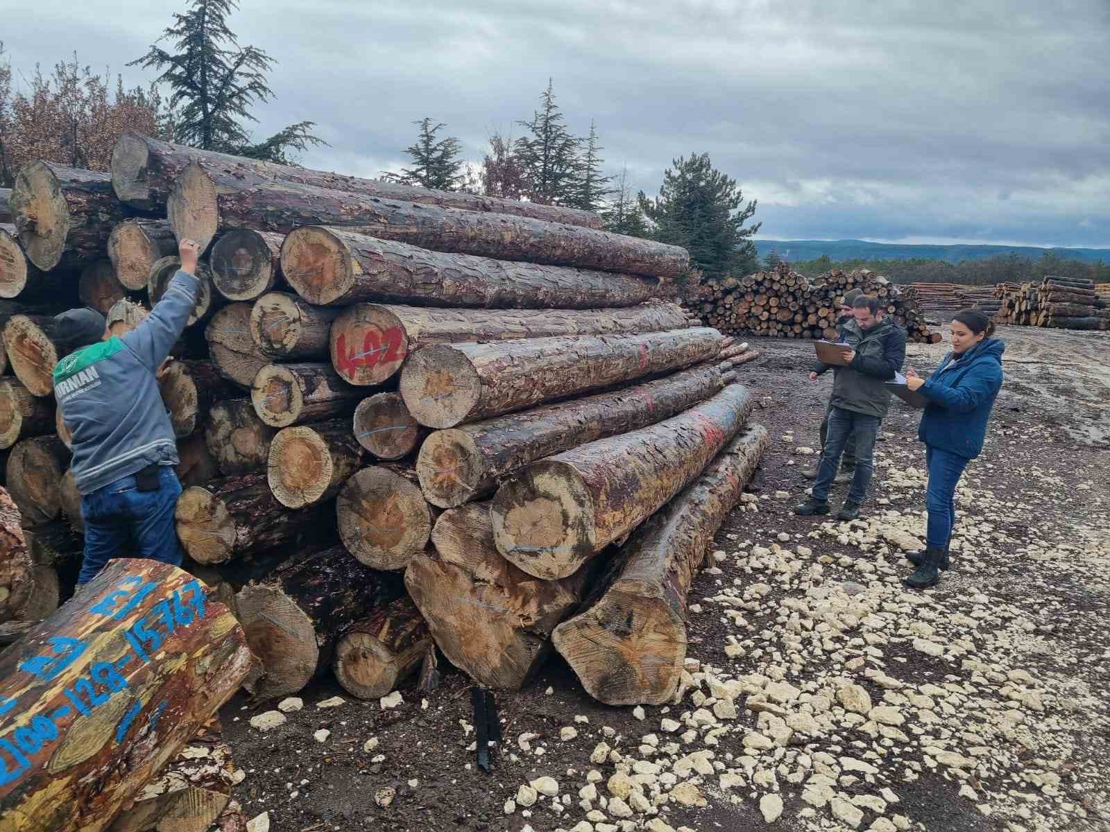 Kütahya’da orman emvallerinin yıl sonu sayımları yapıldı
?v=1