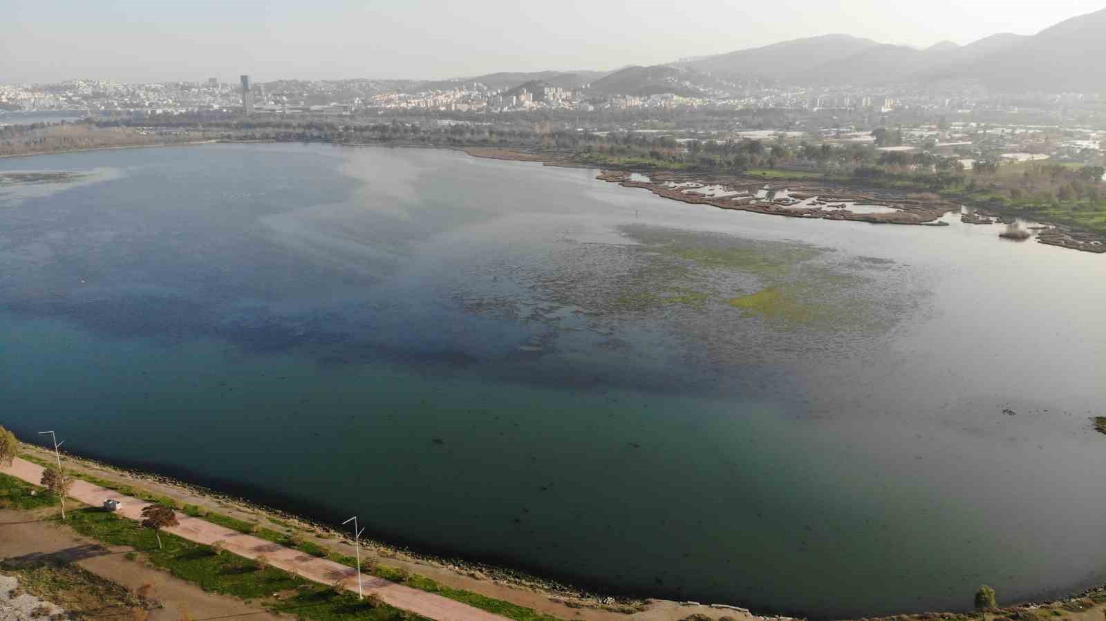 İzmir İnciraltı sahilini deniz marulu sardı
?v=1