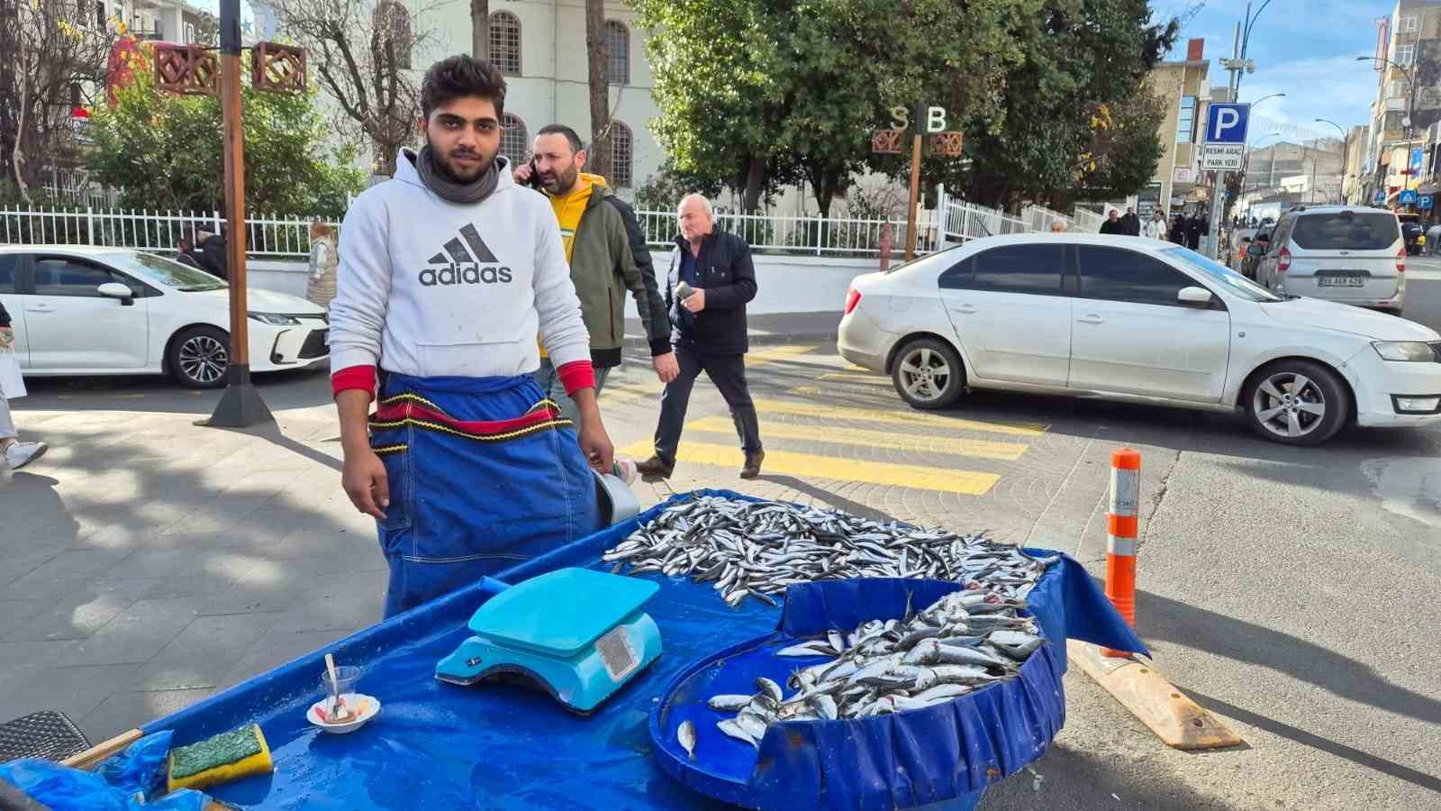 Tekirdağ’da hamsi ve istavrit 100 lira
?v=1