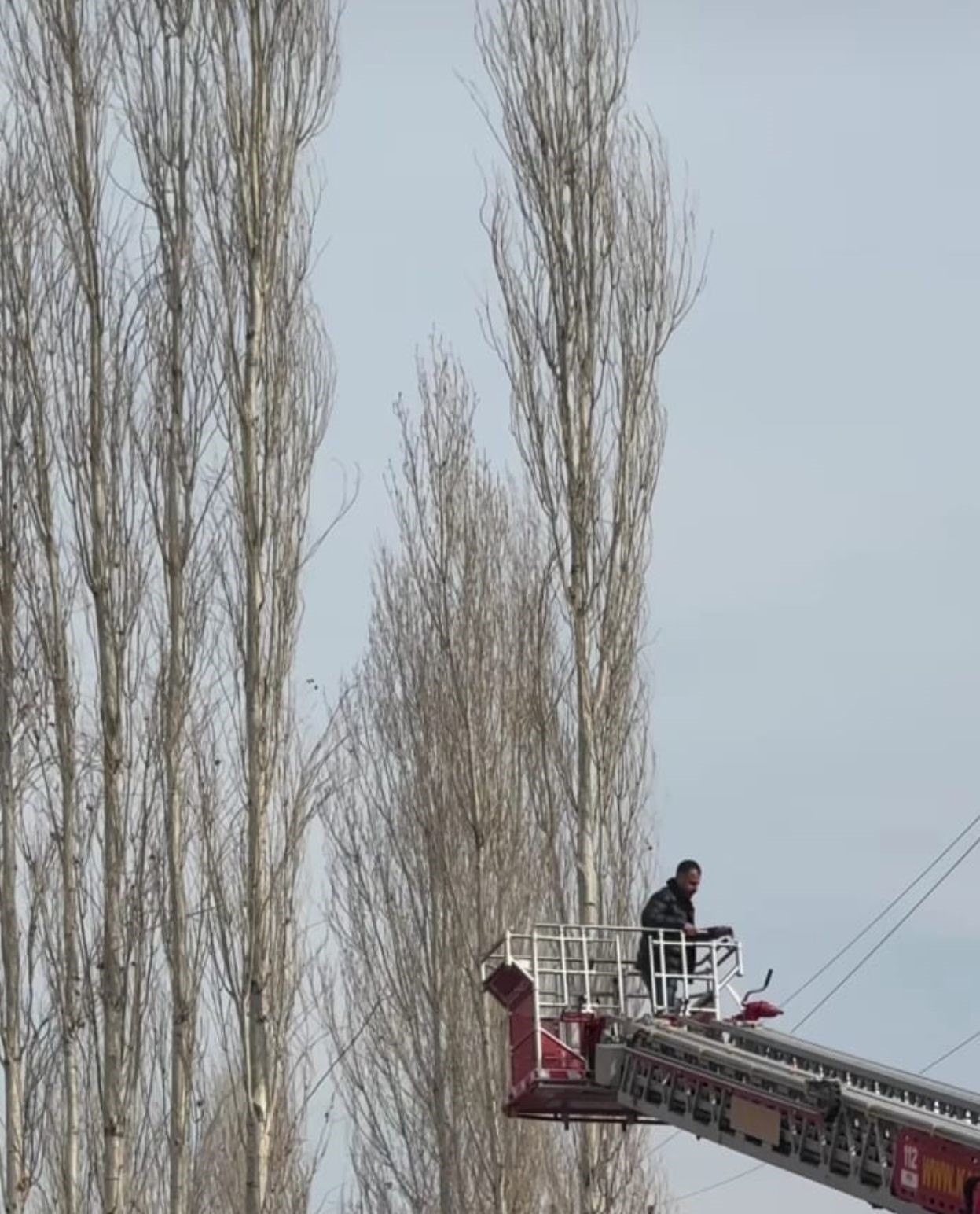 Düğünde uçurulan dron ağaçlara takılınca yardıma itfaiye ekipleri yetişti
?v=1