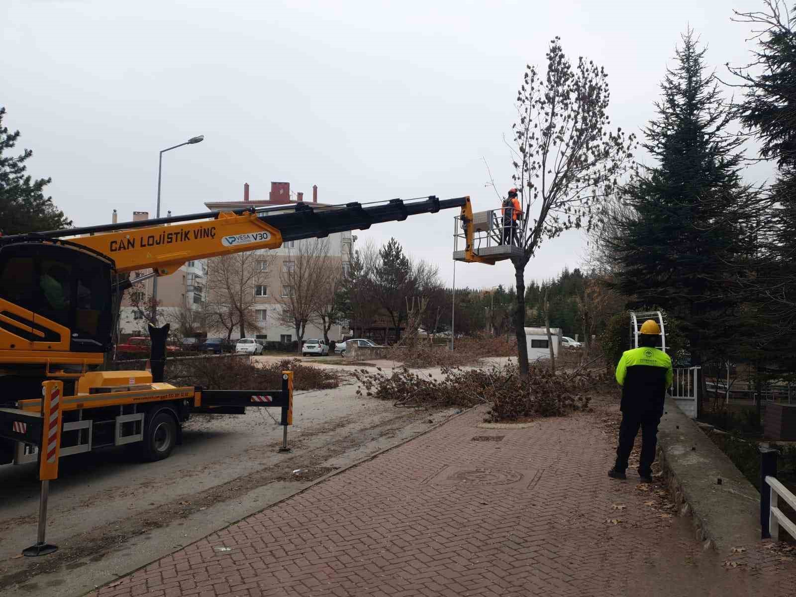 Odunpazarı’nda ağaç bakımları sürüyor
?v=1