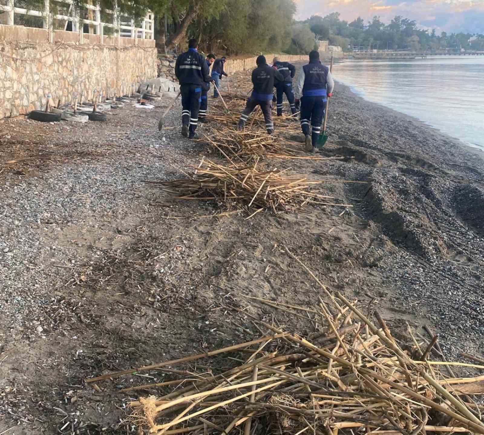 Rodos’un pisliği Datça’yı vurdu
?v=1