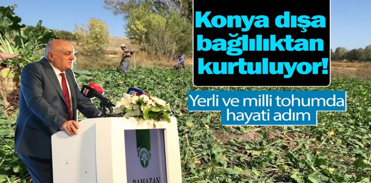 Konya dışa bağlılıktan kurtuluyor! Yerli ve milli tohumda hayati adım