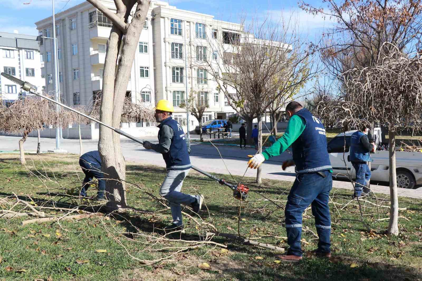 Park ve sokaklarda peyzaj çalışmaları devam ediyor
?v=1