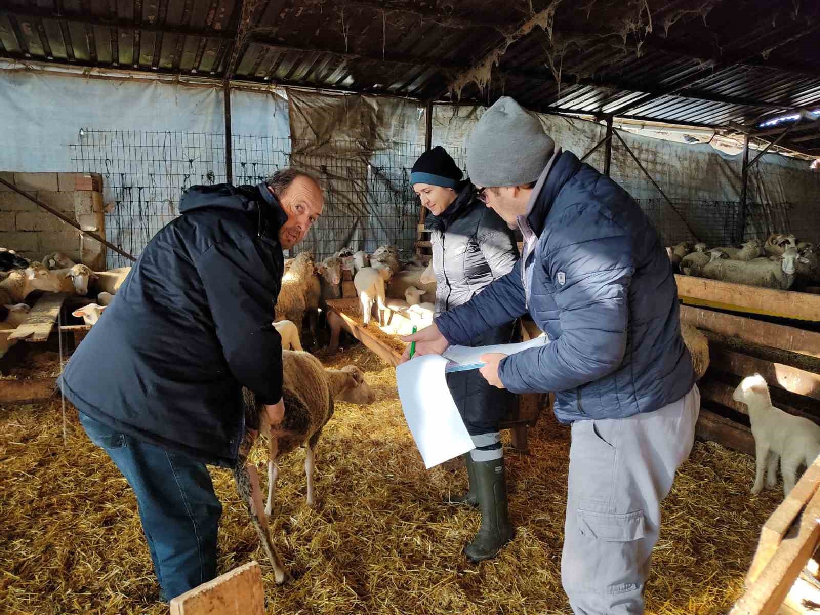 Kırklareli’de küçük ve büyükbaş hayvanların kontrolleri yapıldı
?v=1