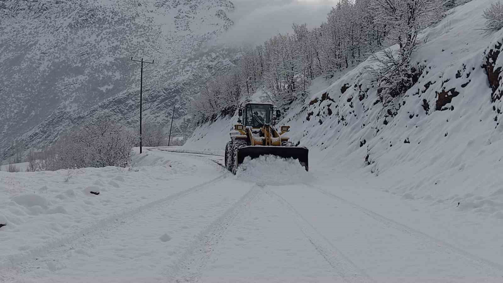 Şırnak’ta kapalı 9 köy yolu ulaşıma açıldı
?v=1