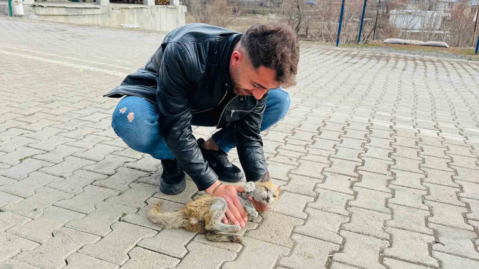 Şırnak’ta can çekişen kedi kalp masajıyla hayata tutundu
?v=1